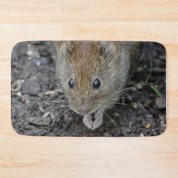 Item preview, Such an adorable little mouse! designed and sold by rosiebeeston.