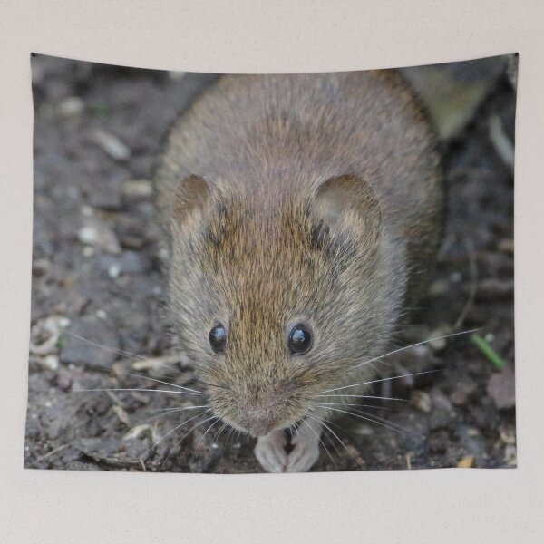 Item preview, Such an adorable little mouse! designed and sold by rosiebeeston.