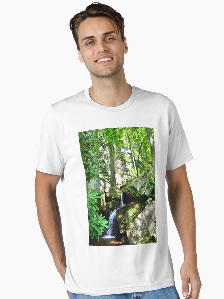 At The Bottom Of Raven Cliffs Waterfall Georgia