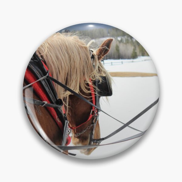 Item preview, Sleigh Ride designed and sold by AceLlama.