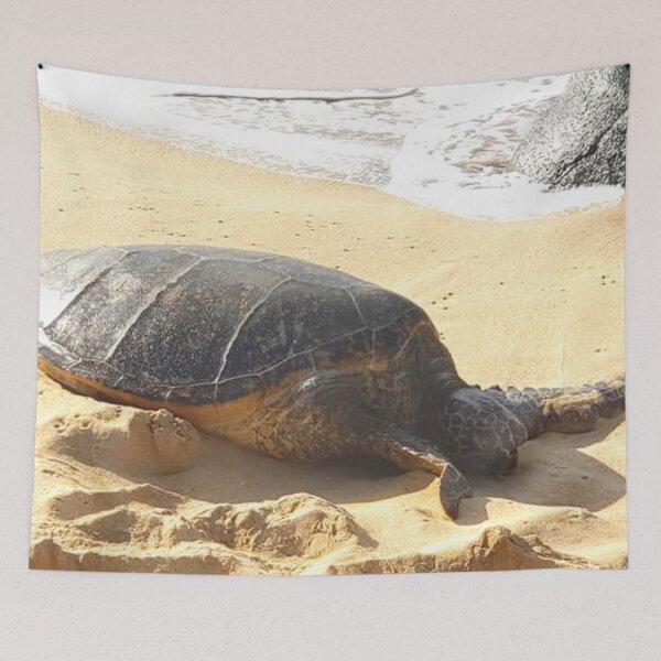 Item preview, Sea Turtle designed and sold by TorieWear.