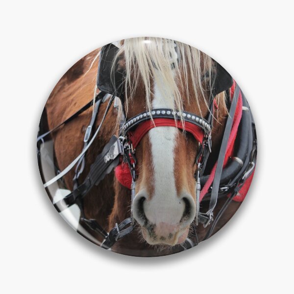 Item preview, Sleigh Ride designed and sold by AceLlama.
