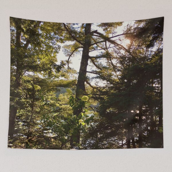 Item preview, Maine Woods designed and sold by Nockaburn.