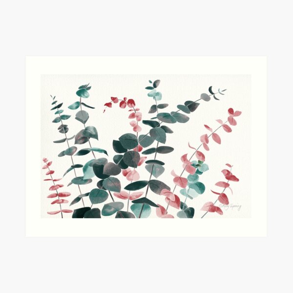 Eucalyptus Silver Dollar Art Print