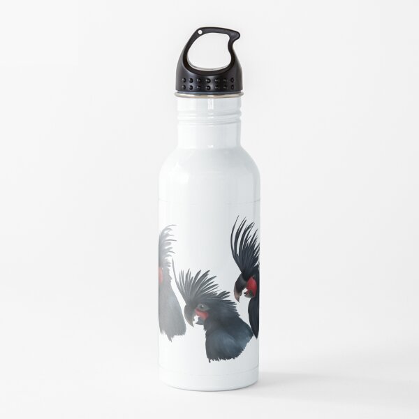 Young palm cockatoo trio Water Bottle