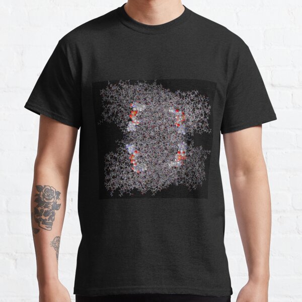 Molecular Dynamics Simulation Classic T-Shirt