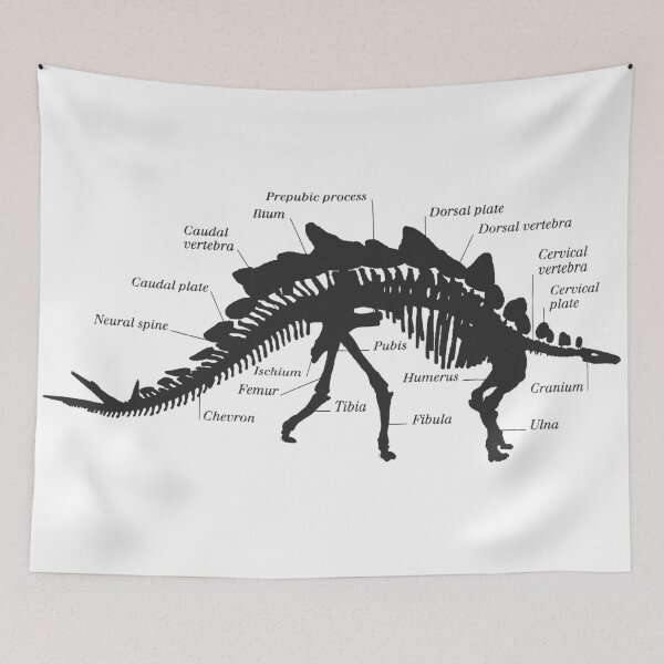 Item preview, Stegosaurus Skeleton - Paleontology Study designed and sold by elevens.