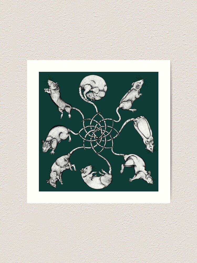 Rat King art print