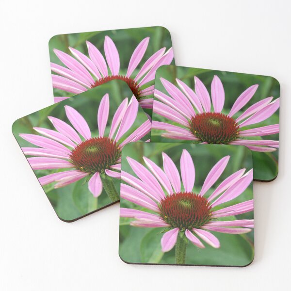 Item preview, Coneflower designed and sold by EngineerGoC.