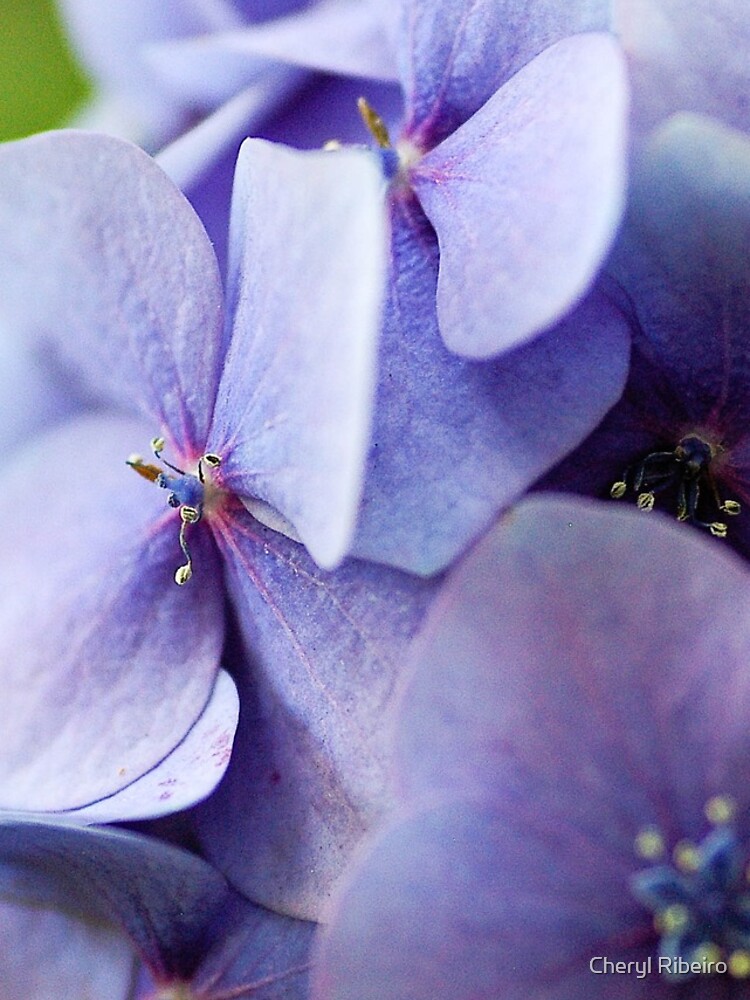 Thumbnail 5 of 5, iPhone Case, hydrangea designed and sold by chezza.