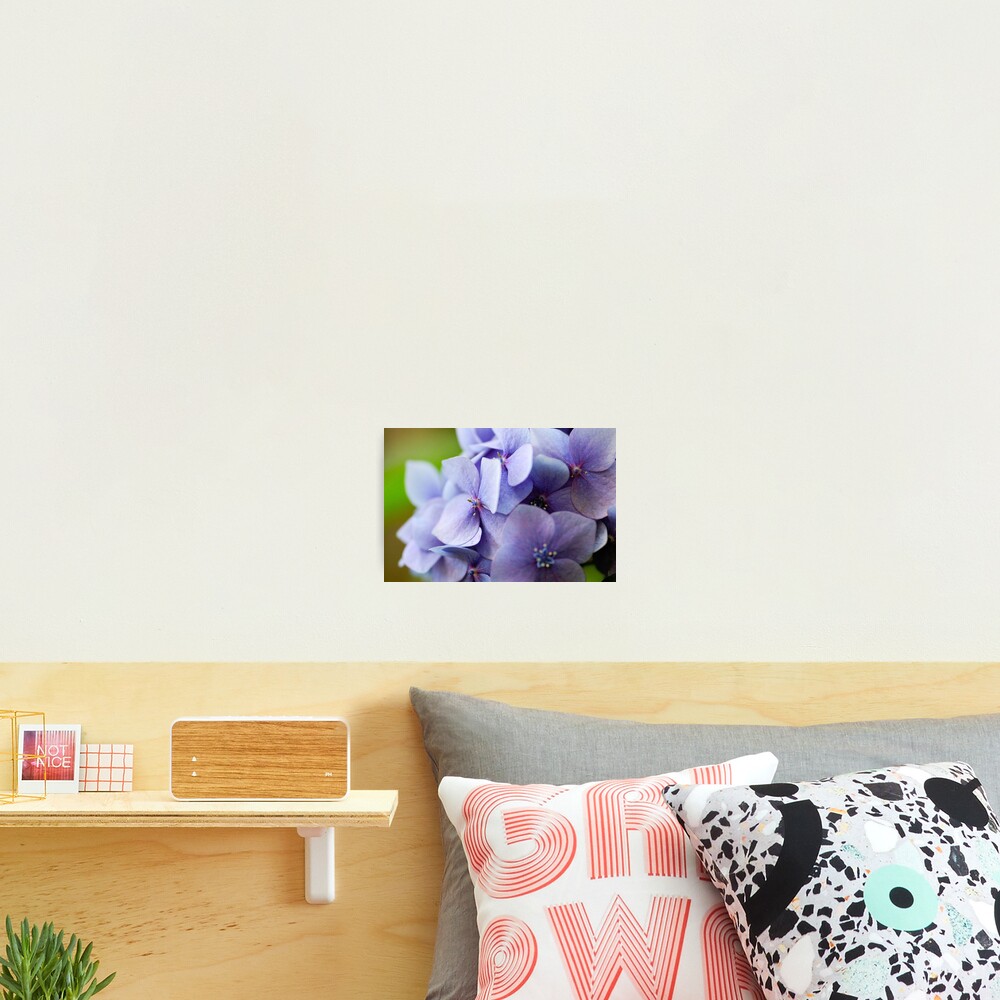 Item preview, Photographic Print designed and sold by chezza.