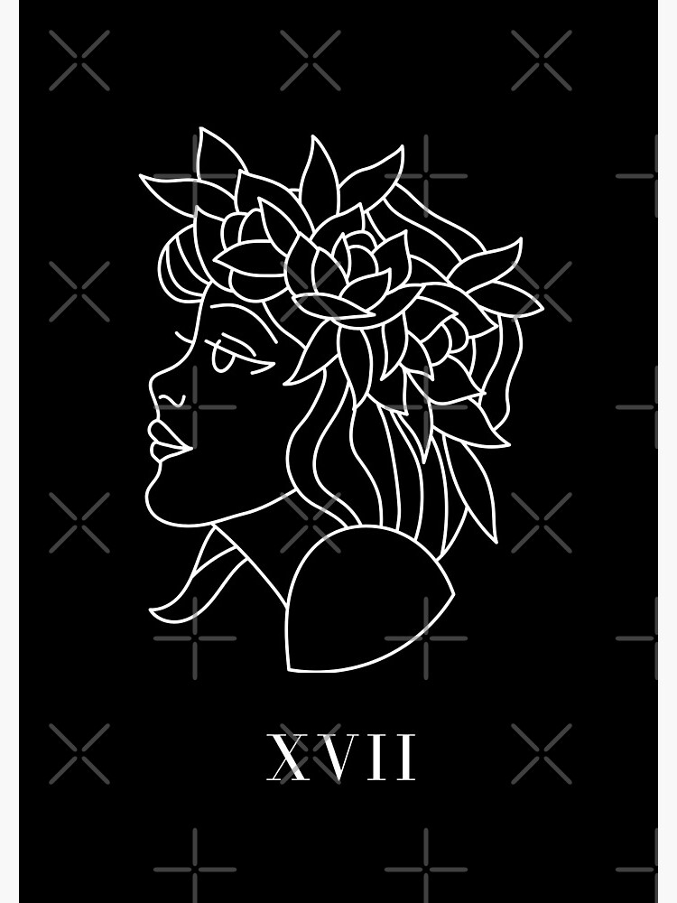 Xvii de chulitad