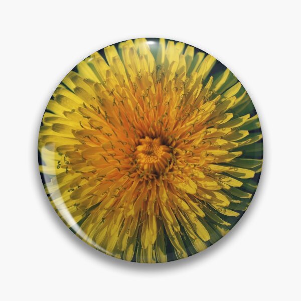 Item preview, Dandelion - Photography designed and sold by greatnorris.
