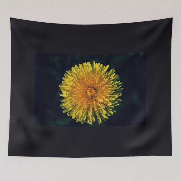 Item preview, Dandelion - Photography designed and sold by greatnorris.