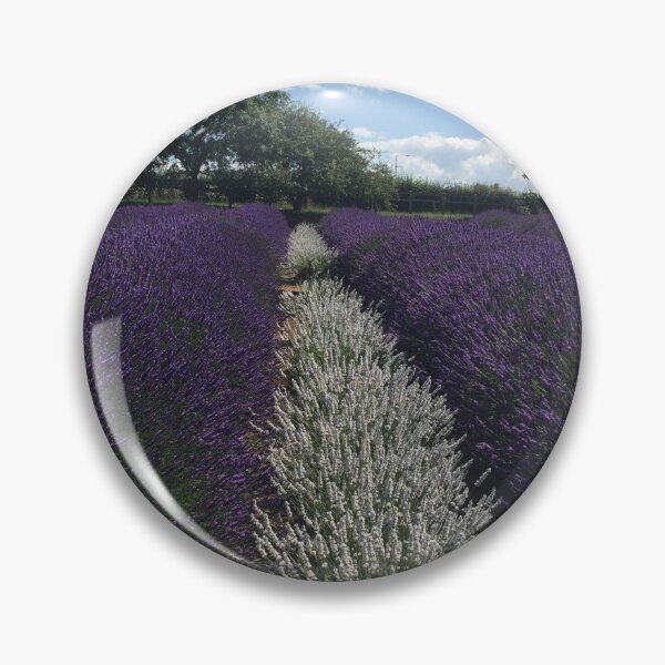 Item preview, Purple and White at Norfolk Lavender designed and sold by Billlee.