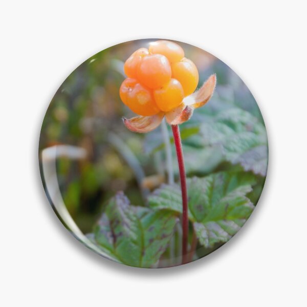 Item preview, Cloudberries designed and sold by EngineerGoC.