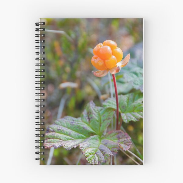 Item preview, Cloudberries designed and sold by EngineerGoC.