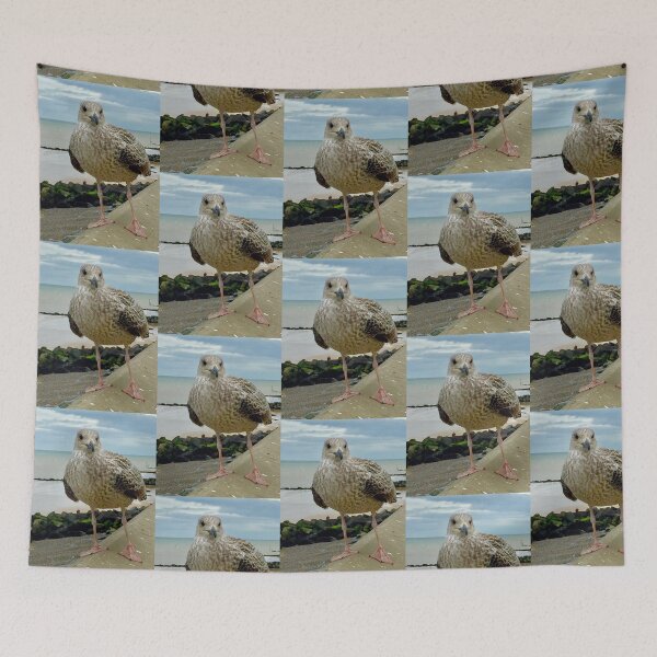 Item preview, Herring Gull on Sea Wall. designed and sold by Billlee.