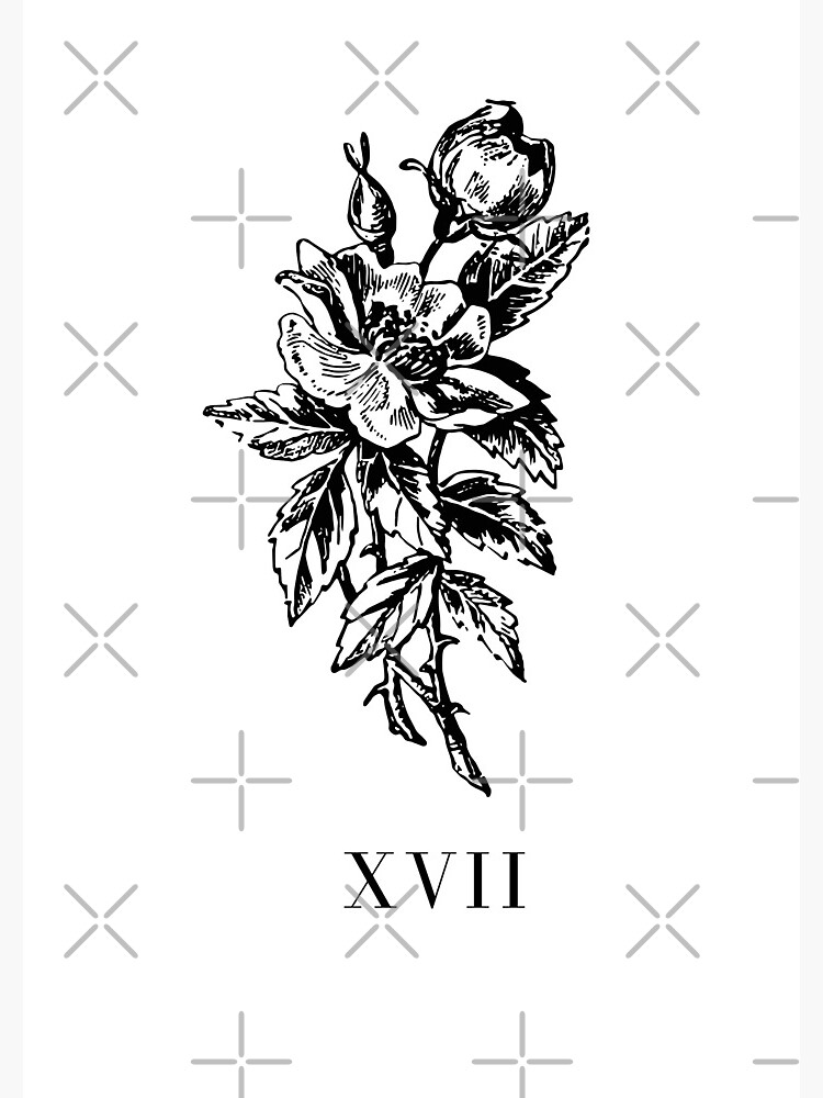 Xvii de chulitad