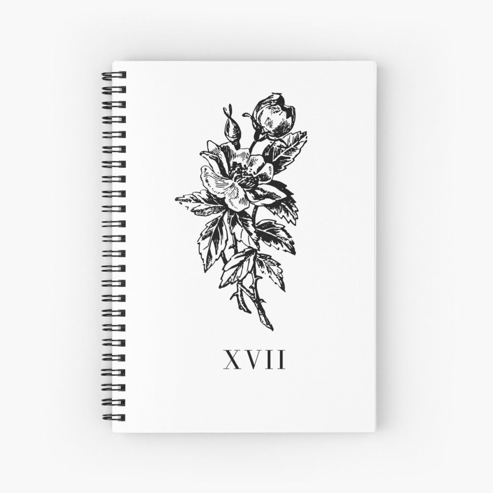 Xvii Cuaderno de espiral