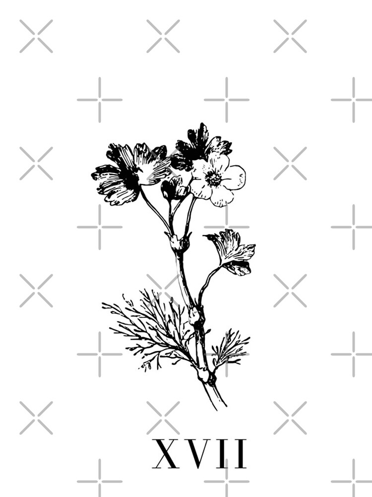 Xvii de chulitad
