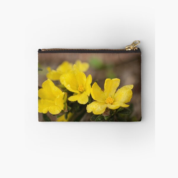Item preview,  Erect Guinea Flower  (Hibbertia riparia) designed and sold by Cheryl Ribeiro.