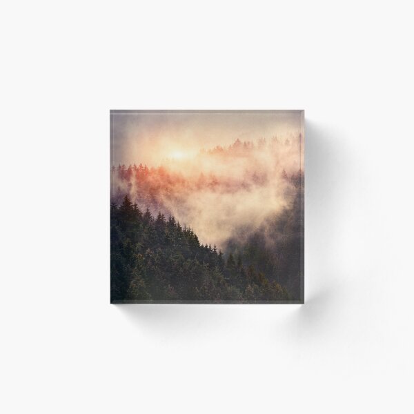 In My Other World Acrylic Block