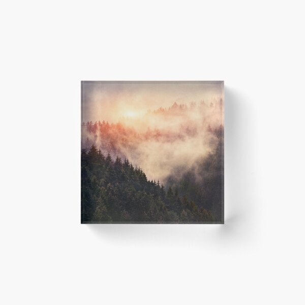 Item preview, In My Other World // Sunrise In A Romantic Misty Foggy Autumn Fairytale Wilderness Forest With Trees Covered In Fog And Sunlight designed and sold by Tordis Kayma.
