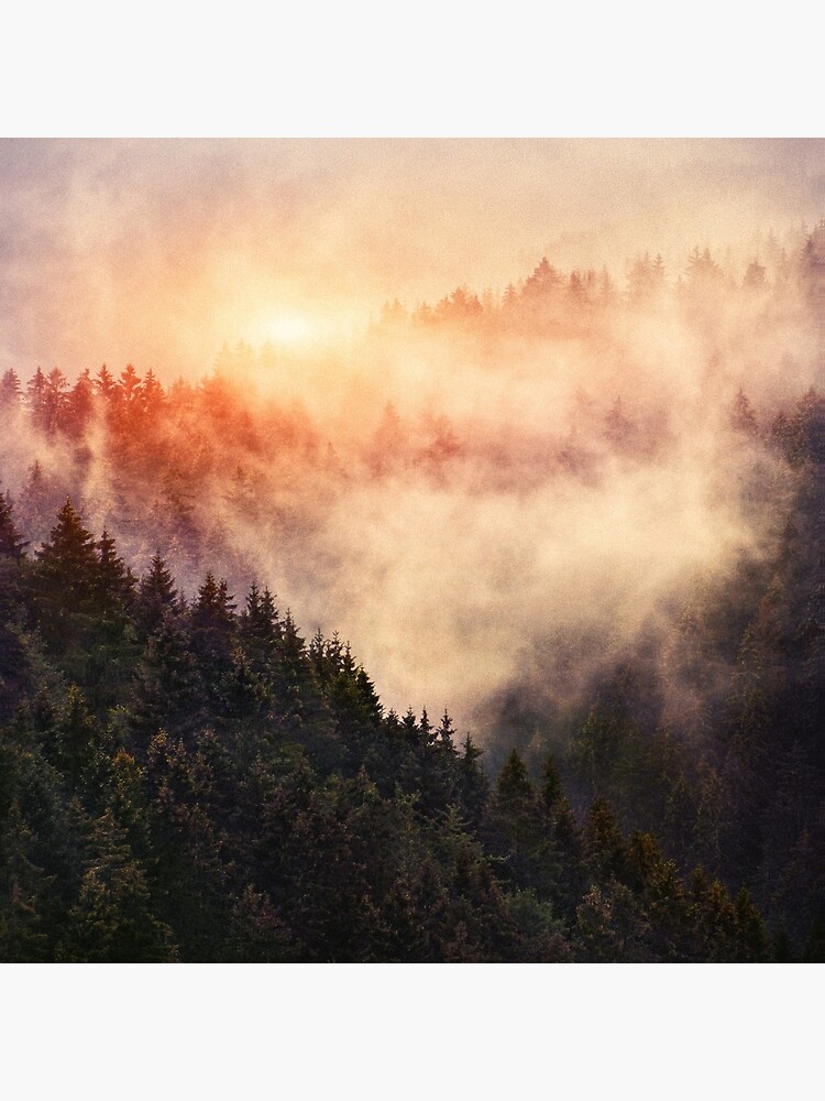 Artwork view, In My Other World // Sunrise In A Romantic Misty Foggy Autumn Fairytale Wilderness Forest With Trees Covered In Fog And Sunlight designed and sold by Tordis Kayma