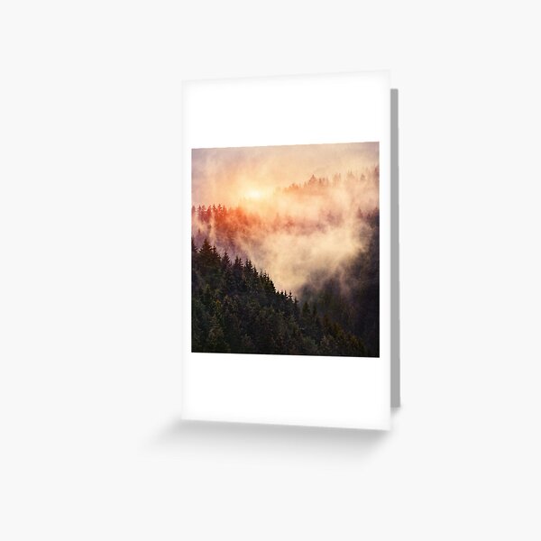 In My Other World // Sunrise In A Romantic Misty Foggy Autumn Fairytale Wilderness Forest With Trees Covered In Fog And Sunlight Greeting Card