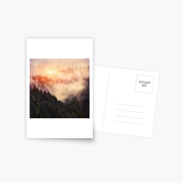 Item preview, In My Other World // Sunrise In A Romantic Misty Foggy Autumn Fairytale Wilderness Forest With Trees Covered In Fog And Sunlight designed and sold by Tordis Kayma.