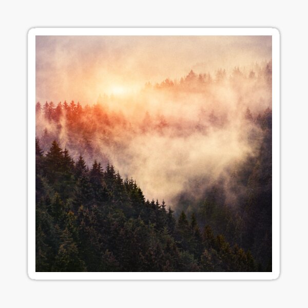 Item preview, In My Other World // Sunrise In A Romantic Misty Foggy Autumn Fairytale Wilderness Forest With Trees Covered In Fog And Sunlight designed and sold by Tordis Kayma.