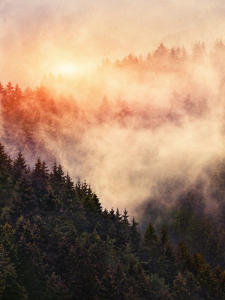Thumbnail 3 of 3, Drawstring Bag, In My Other World // Sunrise In A Romantic Misty Foggy Fairytale Wilderness Forest With Trees Covered In Fog And Sunlight designed and sold by Tordis Kayma.