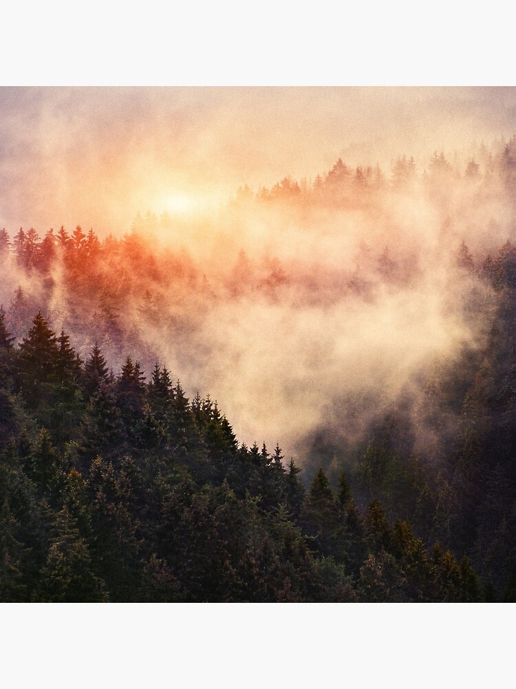 Thumbnail 4 von 4, Kissen, In My Other World // Sunrise In A Romantic Misty Foggy Autumn Fairytale Wilderness Forest With Trees Covered In Fog And Sunlight designt und verkauft von tekay.