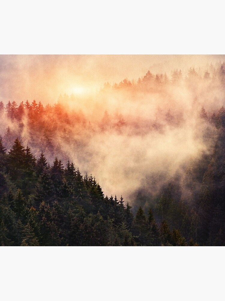 Thumbnail 3 of 3, Tapestry, In My Other World // Sunrise In A Romantic Misty Foggy Autumn Fairytale Wilderness Forest With Trees Covered In Fog And Sunlight designed and sold by tekay.