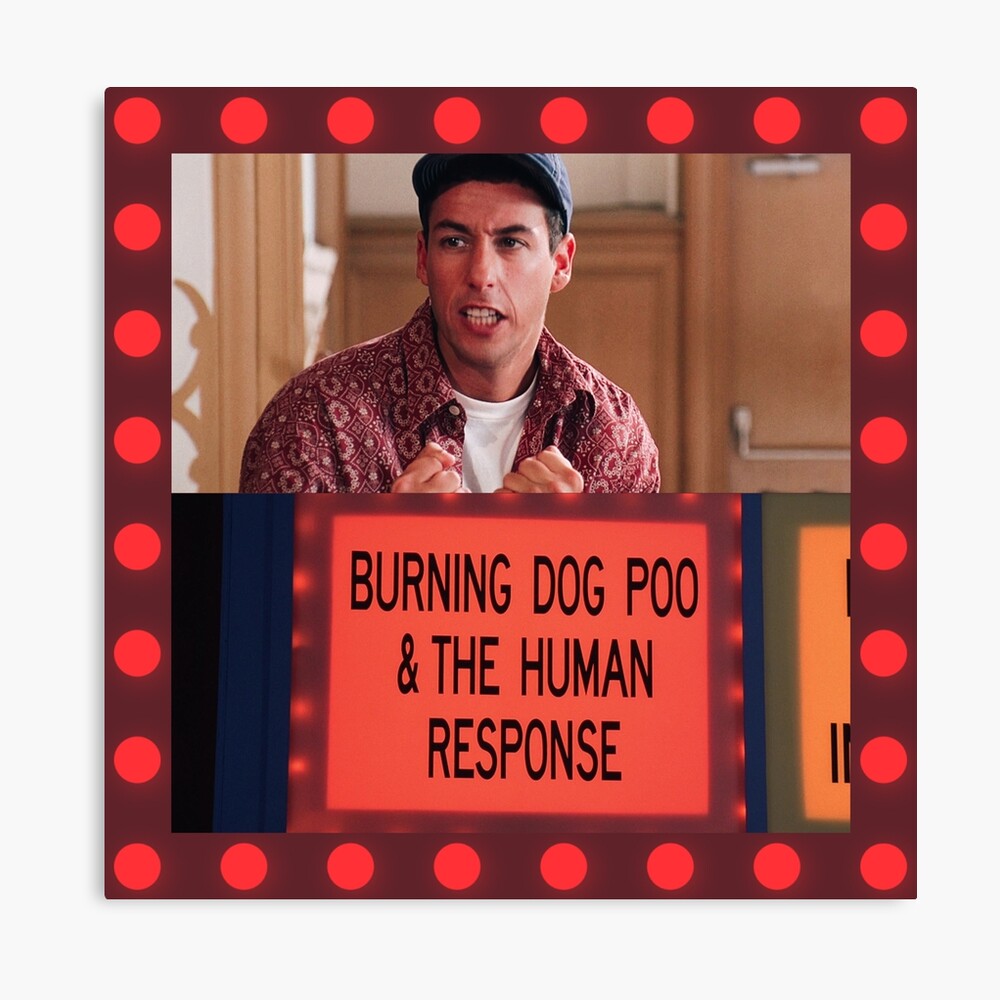 Burning Dog Poo & The Human Response  Billy Madison Poster for Sale by  Cuttintees | Redbubble