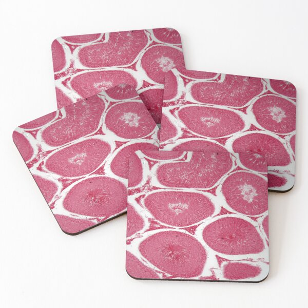 Item preview, Microscope photo of a section through cells of rabbit testicles designed and sold by Zosimus.