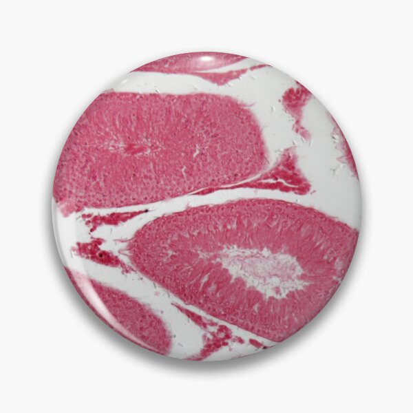 Item preview, Microscope photo of cells of rabbit testicles designed and sold by Zosimus.