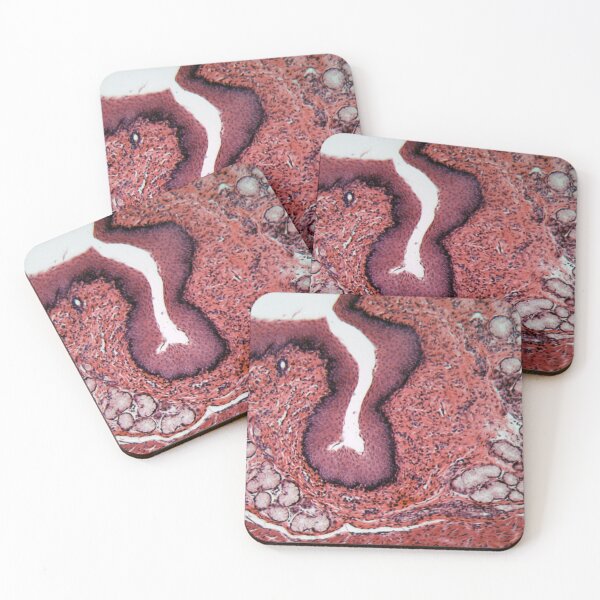 Item preview, Microscope photo of esophagus cells of a dog. designed and sold by Zosimus.