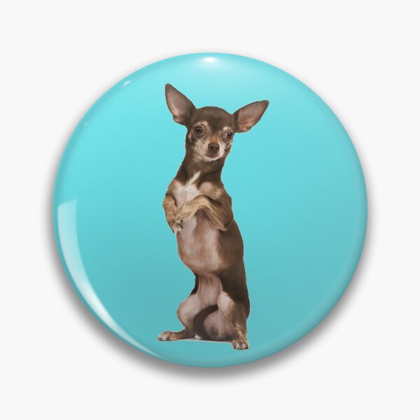 Item preview, Chihuahua marrón sentado, bailando designed and sold by ScienceSource.