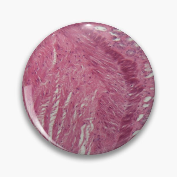 Item preview, Microscope photo of a section through dog smooth muscle cells designed and sold by Zosimus.