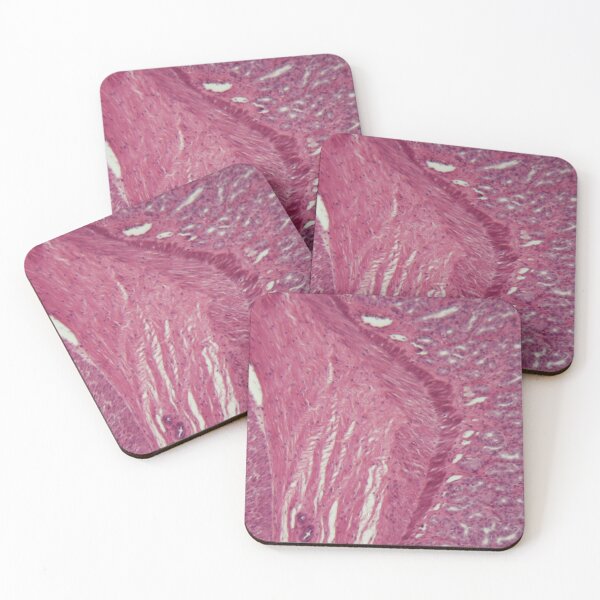 Item preview, Microscope photo of a section through dog smooth muscle cells designed and sold by Zosimus.