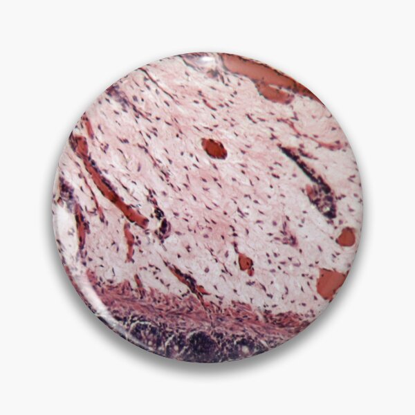 Item preview, Microscope photo of rectum cells of a dog. designed and sold by Zosimus.