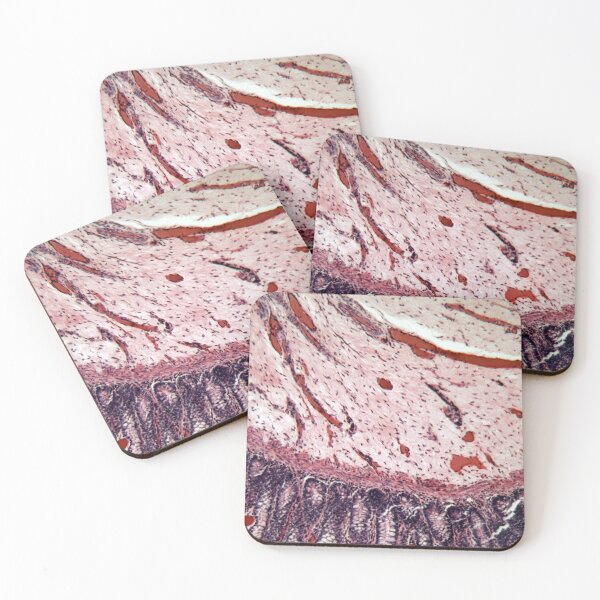 Item preview, Microscope photo of rectum cells of a dog. designed and sold by Zosimus.