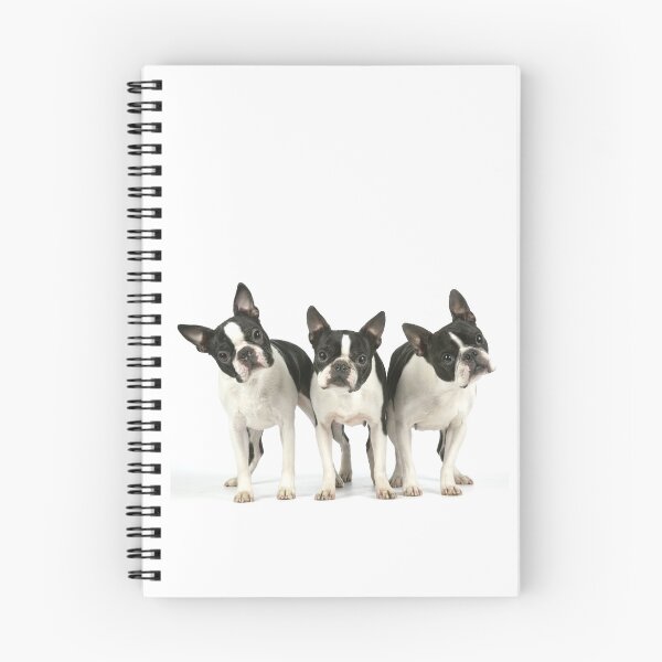 Item preview, Three Boston Terriers designed and sold by ScienceSource.