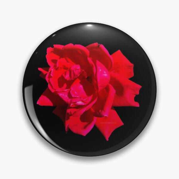Artikelvorschau, Leuchtend rote Rosenblume entworfen und verkauft von wildjellybeans.