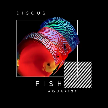Artwork thumbnail, Discus Fish by GFishy