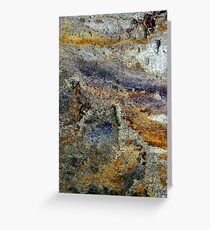 sun scorched pasture Greeting Card