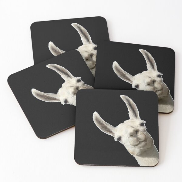 Item preview, Llama Alpaca Party Cute Llama Lovers Picture designed and sold by BigLoro.