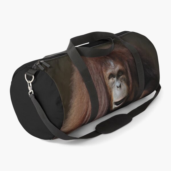 Item preview, Indah - Sumatran Orangutan designed and sold by Savannah Gibbs.